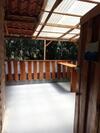 Apartamento G-land: Burnt Toast Surfcamp