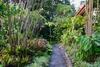 Hotel Arco Iris Lodge