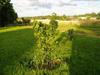 Apartamento Jelling Family Camping & Cottages