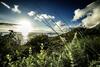 Rocklands Seaside Bed And Breakfast