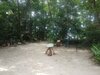 Hotel Cape Trib Beach House