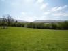 Llwynrhosser