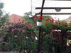 Hostal Pensiunea Cristina Si Pavel