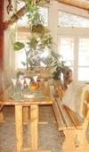 Hostal Pensiunea Liziera