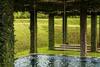 Hotel Tea Garden Resort