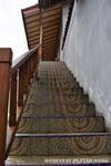 Platar Ombo Homestay