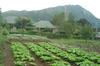 Lembah Rinjani Villa & Resto