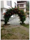 Beechwood Holiday Apartments