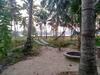 Blue Birds Homestay