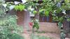 Hostal Isai Ambalam Guest House