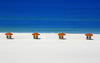 Hotel Sandpearl Resort