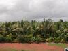 Hostal Rashmi Woods Hotel & Resort