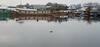 New Shamus Maqbool Group Of Houseboat
