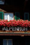 Hostal Hotel Garni Alpenruh