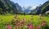 Hotel Alpenclub