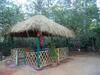 Dreams Homestay