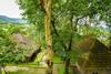 Agroturismo Hotel Treetop