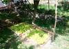 Hostal Tih A O Guest House & Home Stay