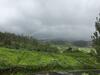Villa Ambari Emerald - Ooty