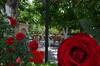 Hostal Erciyes Pension