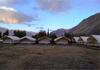 Tih Shyok Camp - Nubra