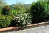 Montaione Apartment Sleeps 5 Pool Wifi