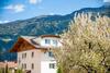 Bed & Breakfast Garni Schmiedhof