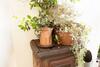 B&B Relais Al Borgo