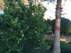 Seaside Apart Cebeci 8