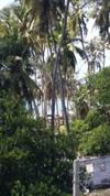 Hotel Marijani Holiday Resort