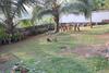 Villa Birds Paradise Hikkaduwa