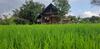 Hotel Habarana Farm Cottage