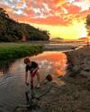 Shelly Beach Top 10 Holiday Park