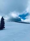 Hostal Cabana Cerbul-oasa-transalpina