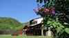 Hostal Cabana Poiana Galdei