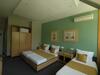 Bed & Breakfast Pansion In Club