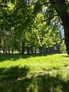 Hostal Zolotoy Kashtan Guest House