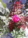 Hostal Guesthouse Chateau Zali