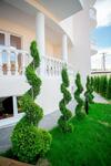 Hotel Democratia Ultra All Inclusive
