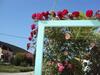 Hostal Guest House V Dolinie Roz