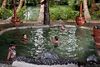 Hotel Ravintsara Wellness