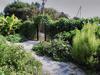 Hostal Guest House Provence