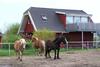 Apartamento Urlaub Auf Dem Bauernhof
