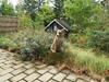 Holiday Home Hemmet IX