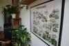 Bed & Breakfast Fjelde Guesthouse