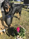 Vorbasse Camping
