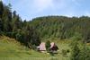 Apartamento Haus Am Waldrand