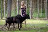 Agroturismo Maatilamatkailu Ilom�ki