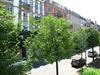 Apartamento Strasbourg - Cosy Contades