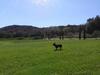 Hostal Domaine Saint Martin